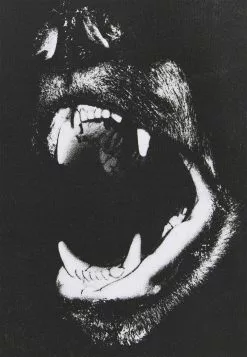 YOURTURN UNISEX - T-Shirt Print - White -YOURTURN Geschäft 58bb31f561364d32afd21d152180aa2a